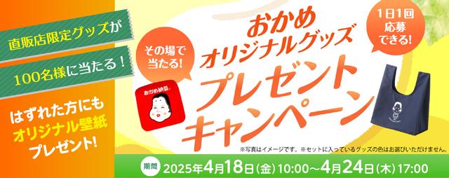 【おかか】ページ　　リクエスト商品のため おが屑を再利用したエコなお絵かきキット「OGAkKO(おがっこ)」の単色