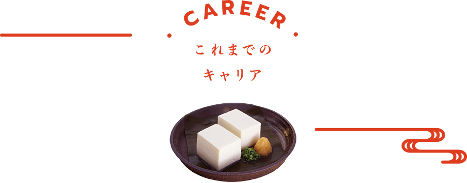 これまでのキャリア