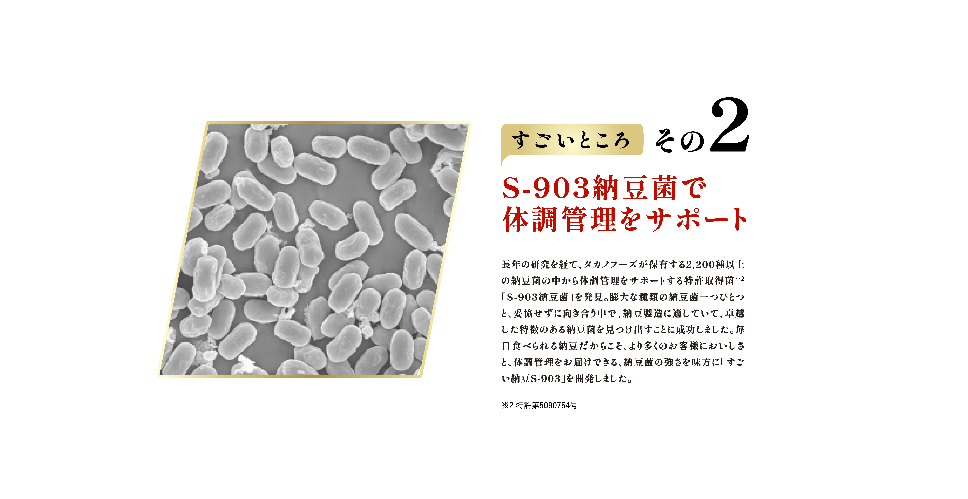 すごいところ その2　S-903納豆菌で体調管理をサポート 長年の研究を経て、タカノフーズが保有する2,200種以上の納豆菌の中から体調管理をサポートする特許取得菌「S-903納豆菌」を発見。膨大な種類の納豆菌一つひとつと、妥協せずに向き合う中で、納豆製造に適していて、卓越した特徴のある納豆菌を見つけ出すことに成功しました。毎日食べられる納豆だからこそ、より多くのお客様においしさと、体調管理をお届けできる、納豆菌の強さを味方に「すごい納豆S-903」を開発しました。