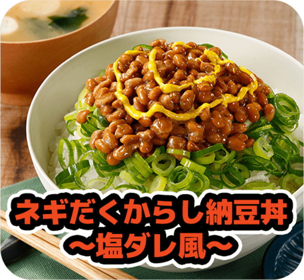 ネギだくからし納豆丼〜塩ダレ風〜